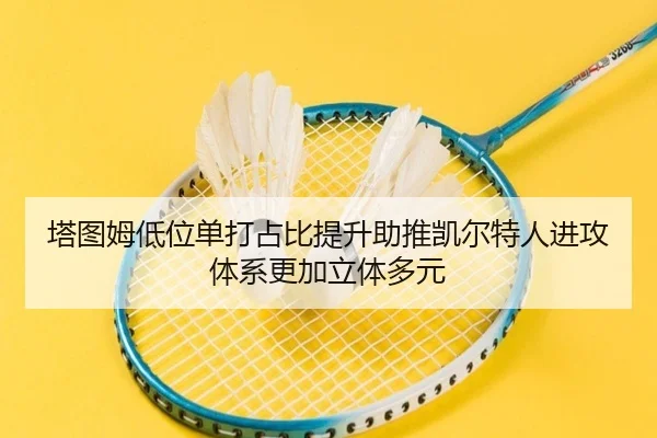 塔图姆低位单打占比提升助推凯尔特人进攻体系更加立体多元